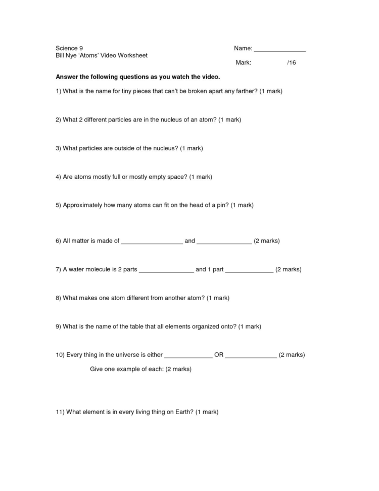 The Ter Cycle Worksheet Answer Key