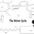 The Ter Cycle Worksheet Answers