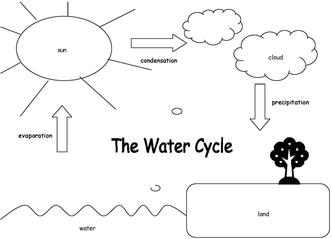 The Ter Cycle Worksheet Answers