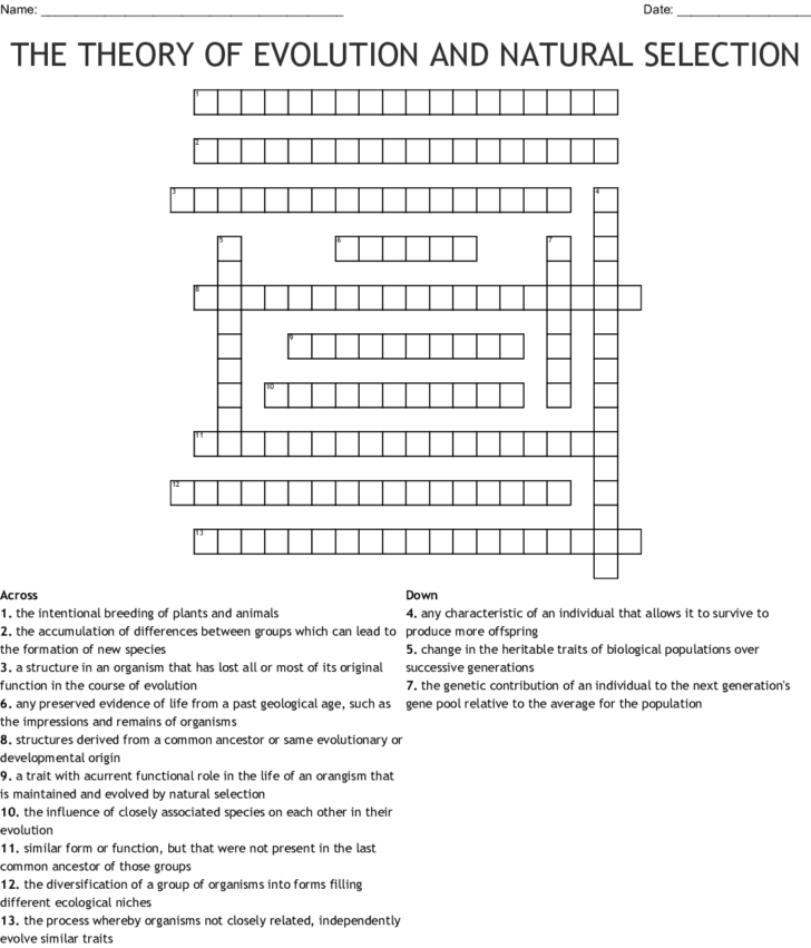 Evolution And Natural Selection Worksheet Answers