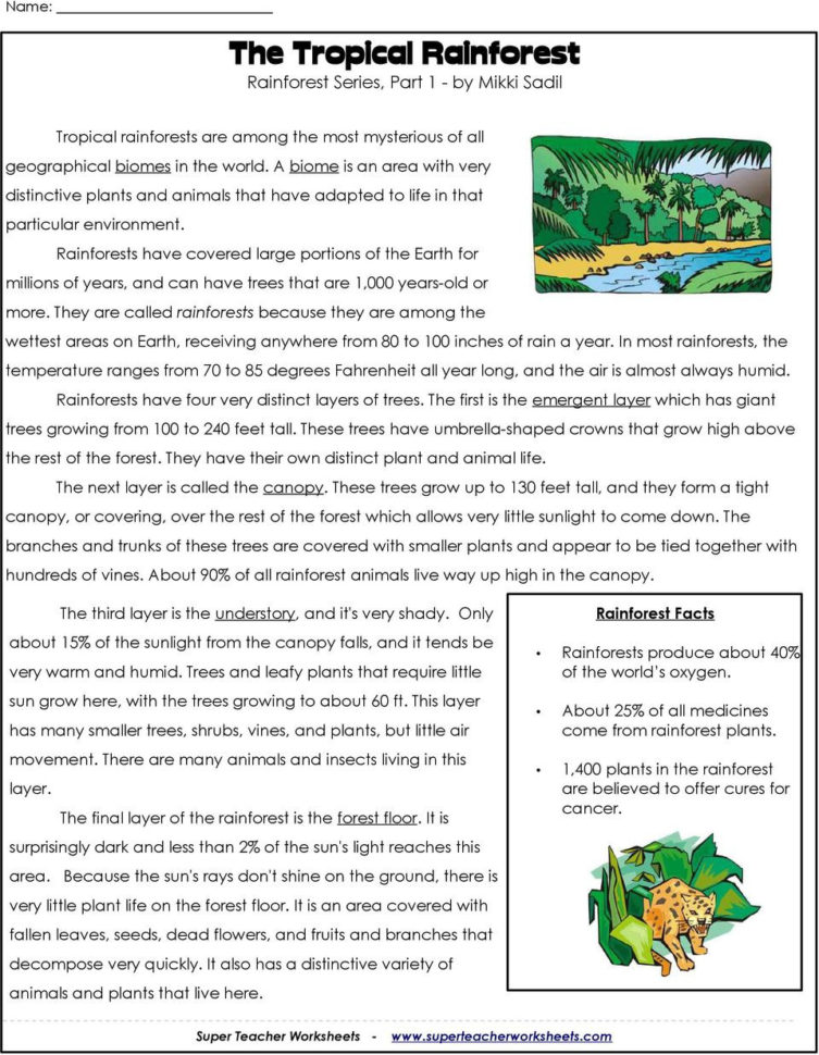 The Tropical Rainforest Rainforest Series Part 1 Mikki