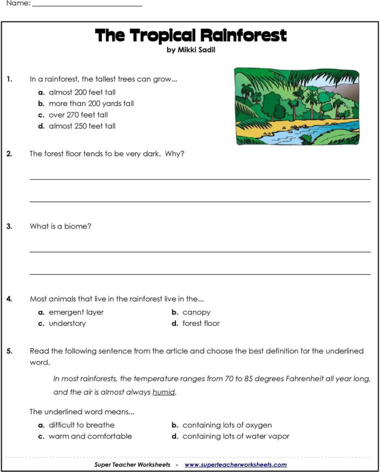 The Tropical Rainforest Rainforest Series Part 1 Mikki