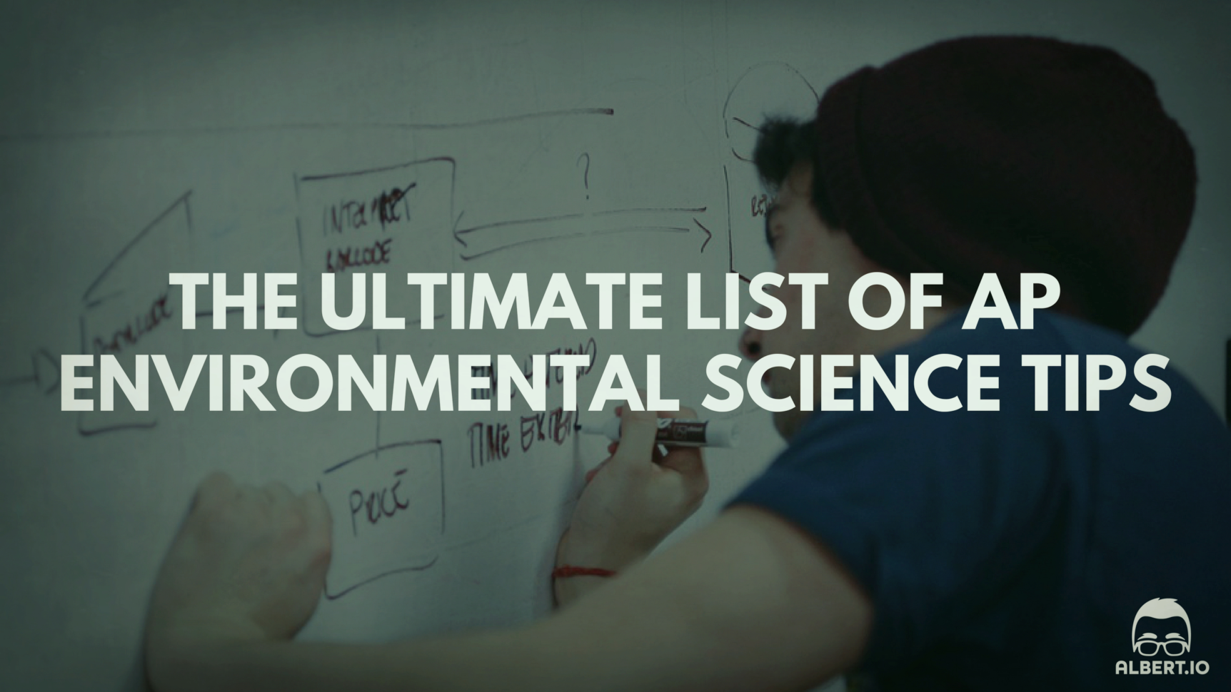 The Ultimate List Of Ap Environmental Science Tips  Albertio
