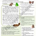 The Very Fat Frog  Reading Comprehension  Esl Worksheet