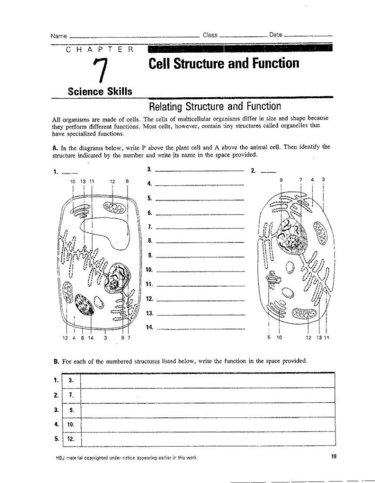 The World's Best Photos Of Function And Worksheet  Flickr