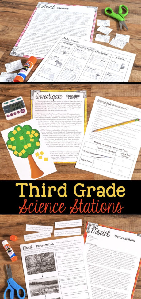 Third Grade Science Stations