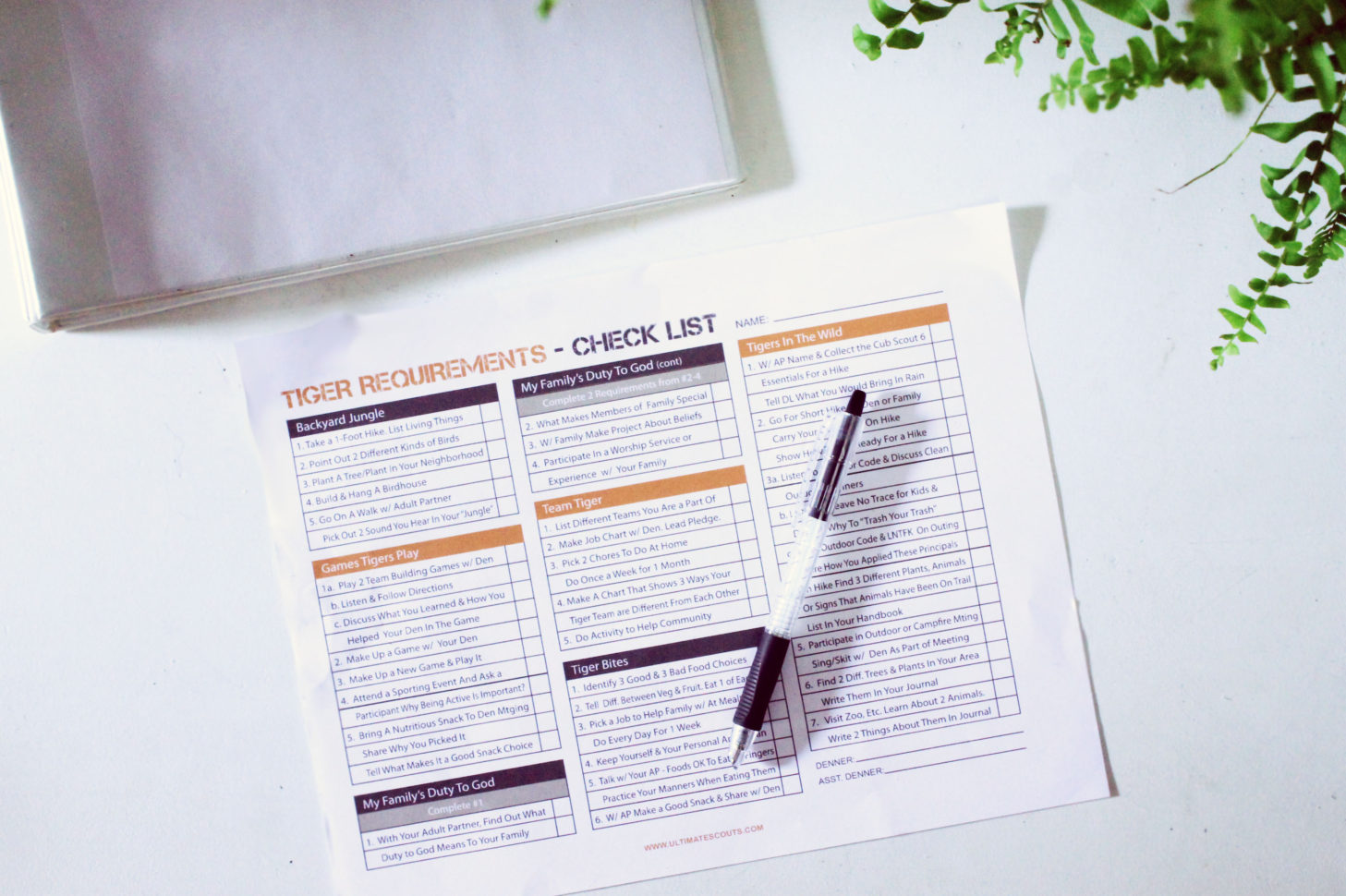 Tiger Cub Scouts Requirement Tracking Worksheet  Ultimate Scouts