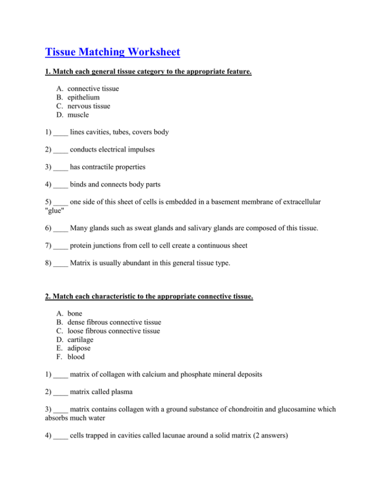 Tissue Matching Worksheet  Belle Vernon Area School District