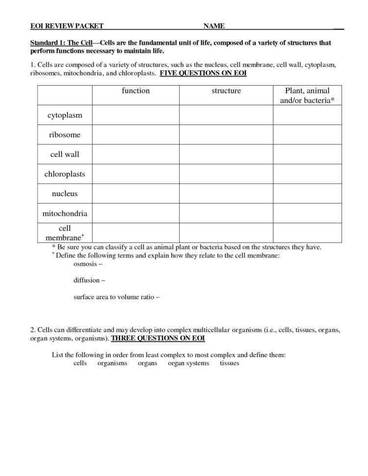 Tissue Worksheet Anatomy Answers
