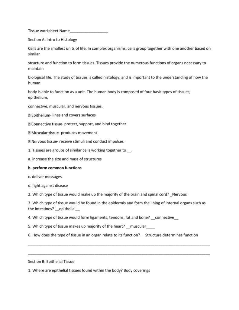 Tissue Worksheet Name Section A Intro To