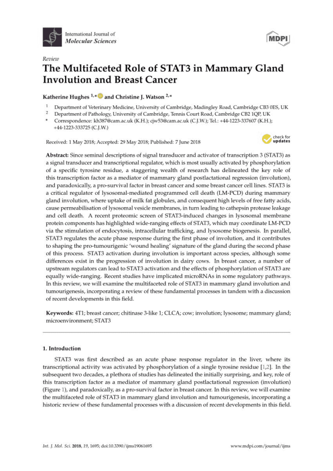 Tissue Worksheet Section A Intro To Histology