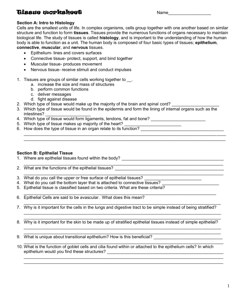 Tissue Worksheet Db excel