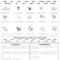 Top 25 Animal Classification Worksheet Hd Llpapers