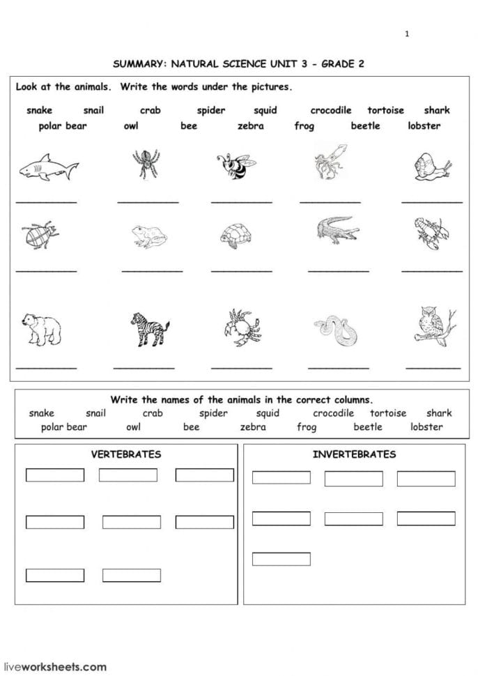 Top 25 Animal Classification Worksheet Hd Llpapers