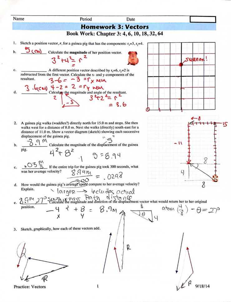 Top Vector Addition Worksheet With Answers Image L Ca