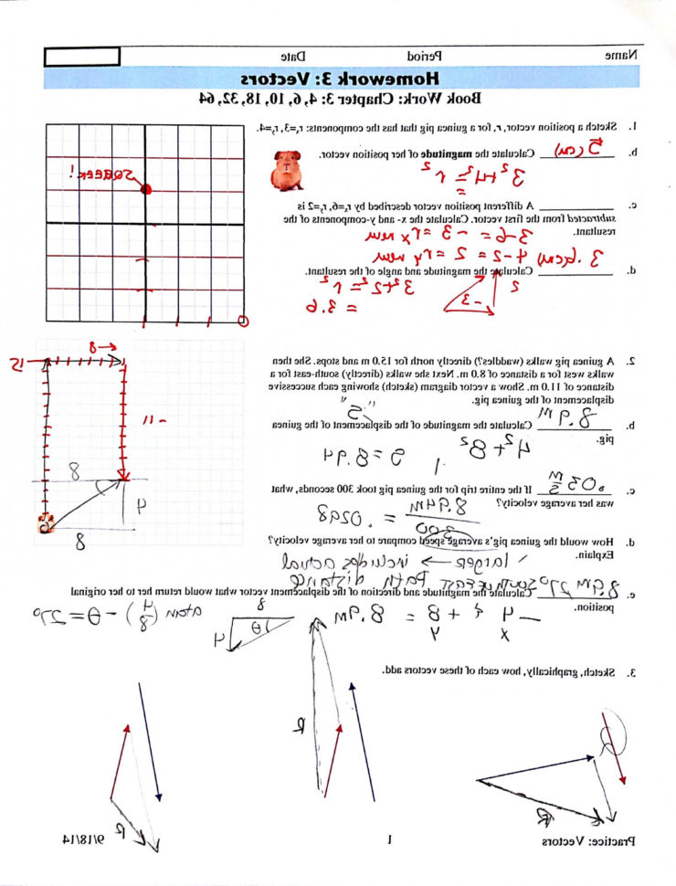 Top Vector Addition Worksheet With Answers Image L Ca  Soidergi