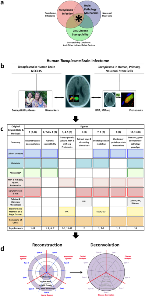 Toxoplasma Modulates Signature Pathys Of Human Epilepsy