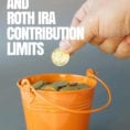 Traditional And Roth Ira Contribution Limits  2019  Historic