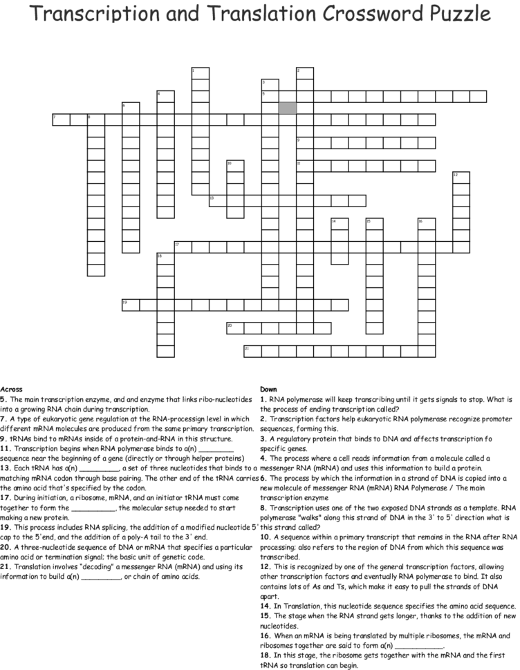 Transcription And Translation Crossword Puzzle  Word