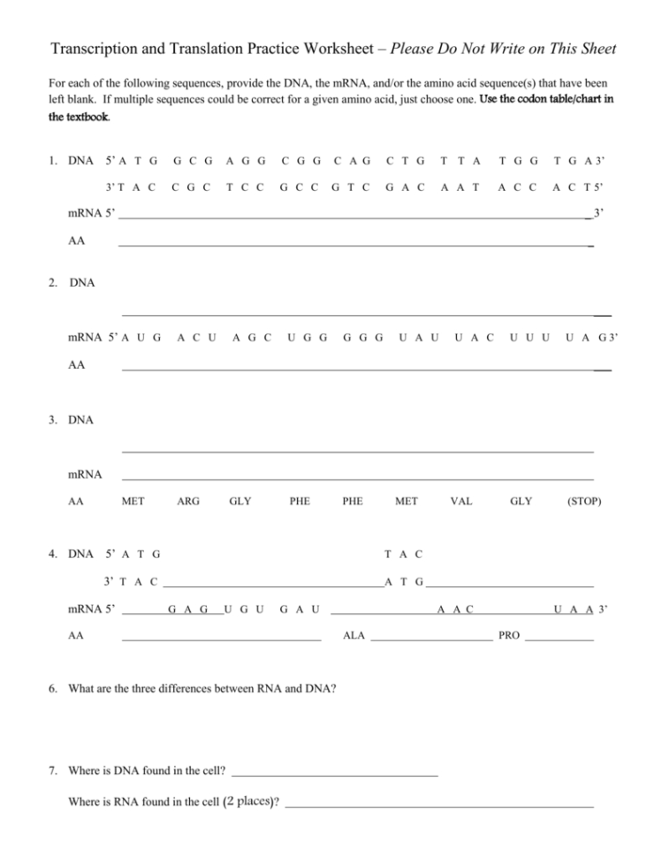 Transcription And Translation Practice Worksheet