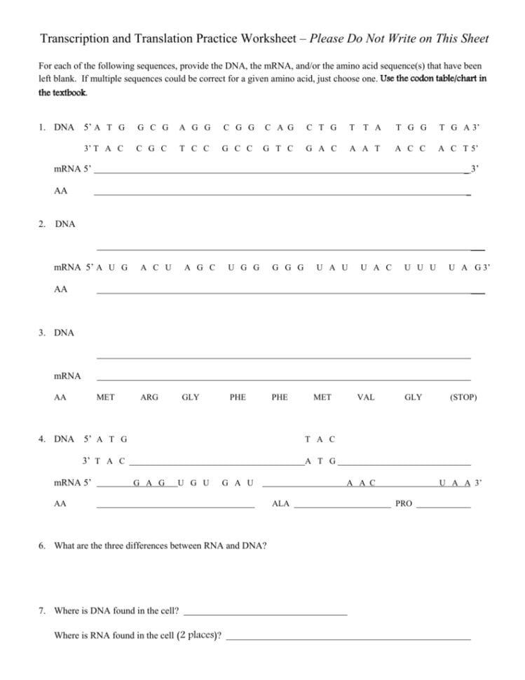 Transcription And Translation Practice Worksheet