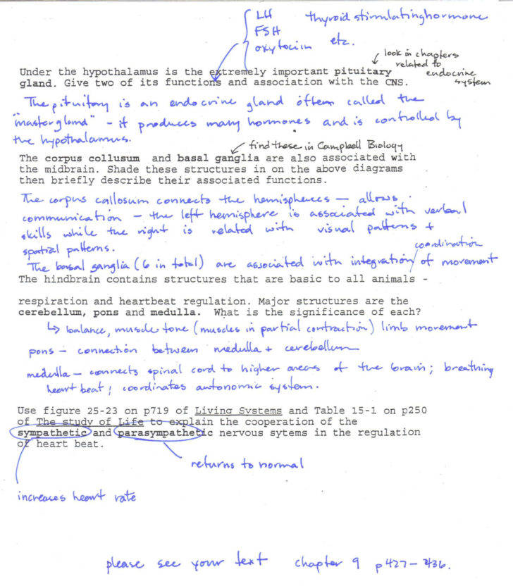 Transcription Translation Practice Worksheet