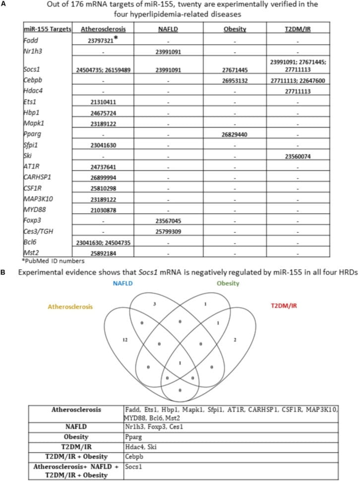 rna-and-transcription-worksheet-answer-key