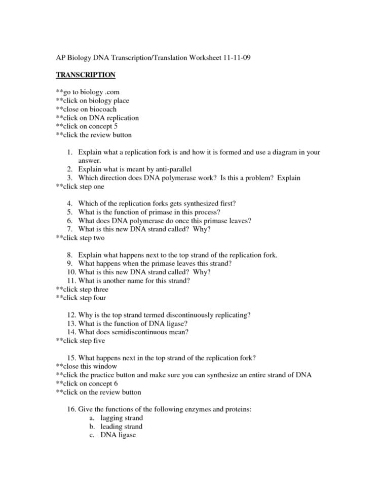 Transcription And Translation Practice Worksheet Answers