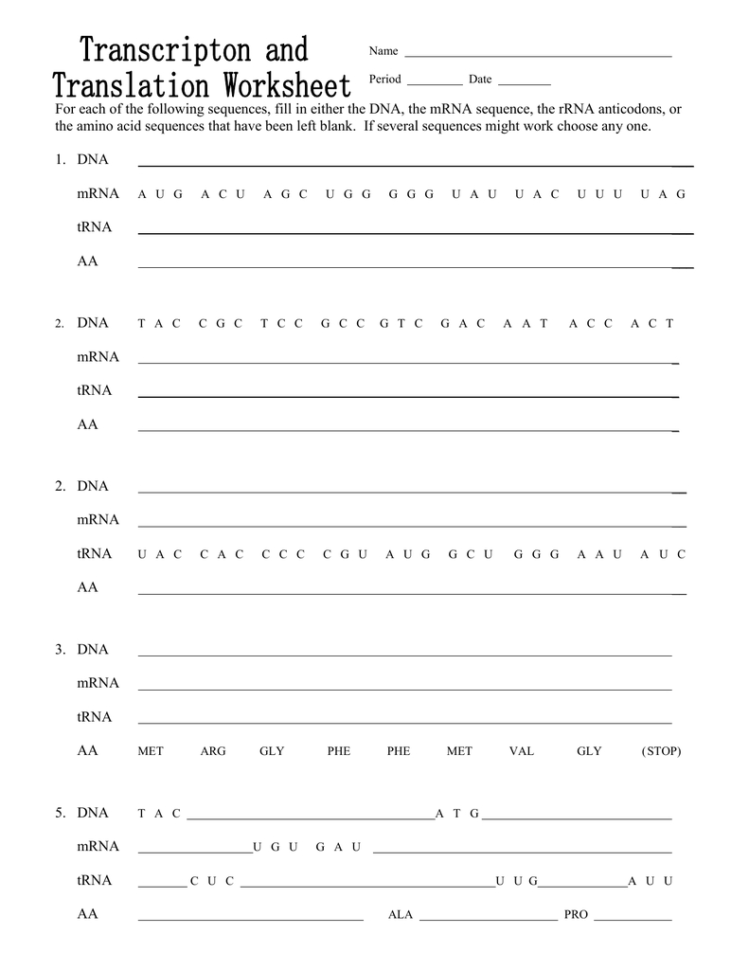 Transcription And Translation Practice Worksheet Db excel