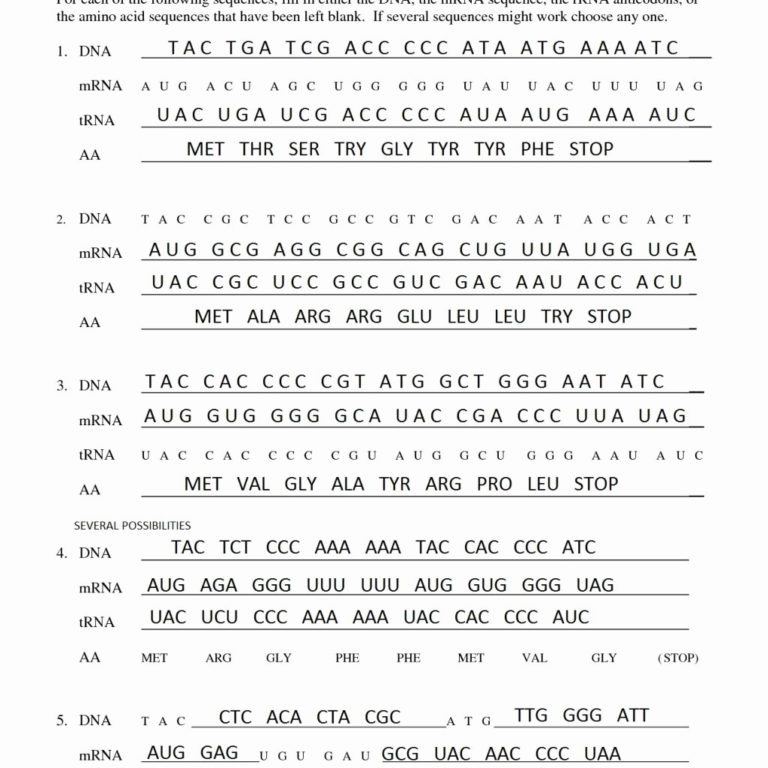 transcription-and-translation-worksheet-answer-key-db-excel