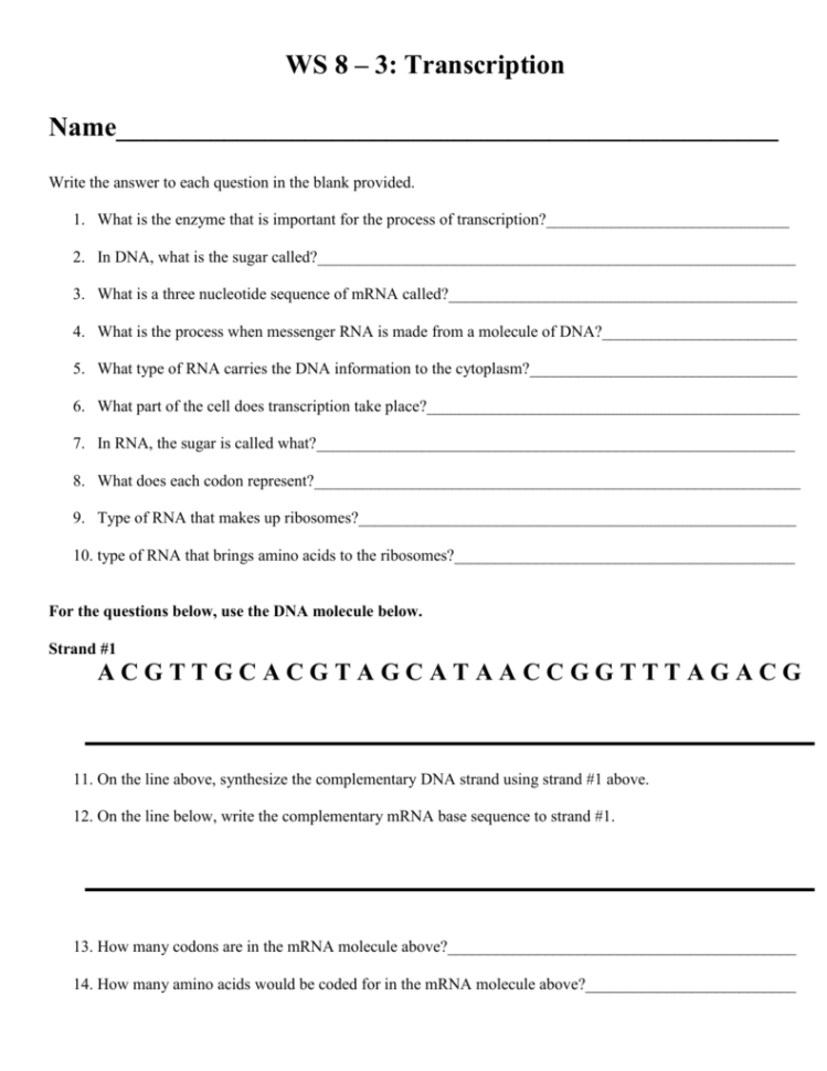 Transcription Worksheet