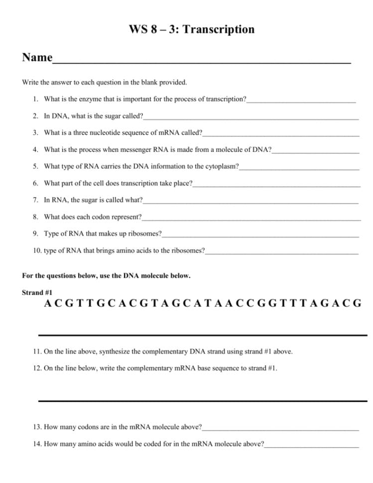 Transcription Worksheet