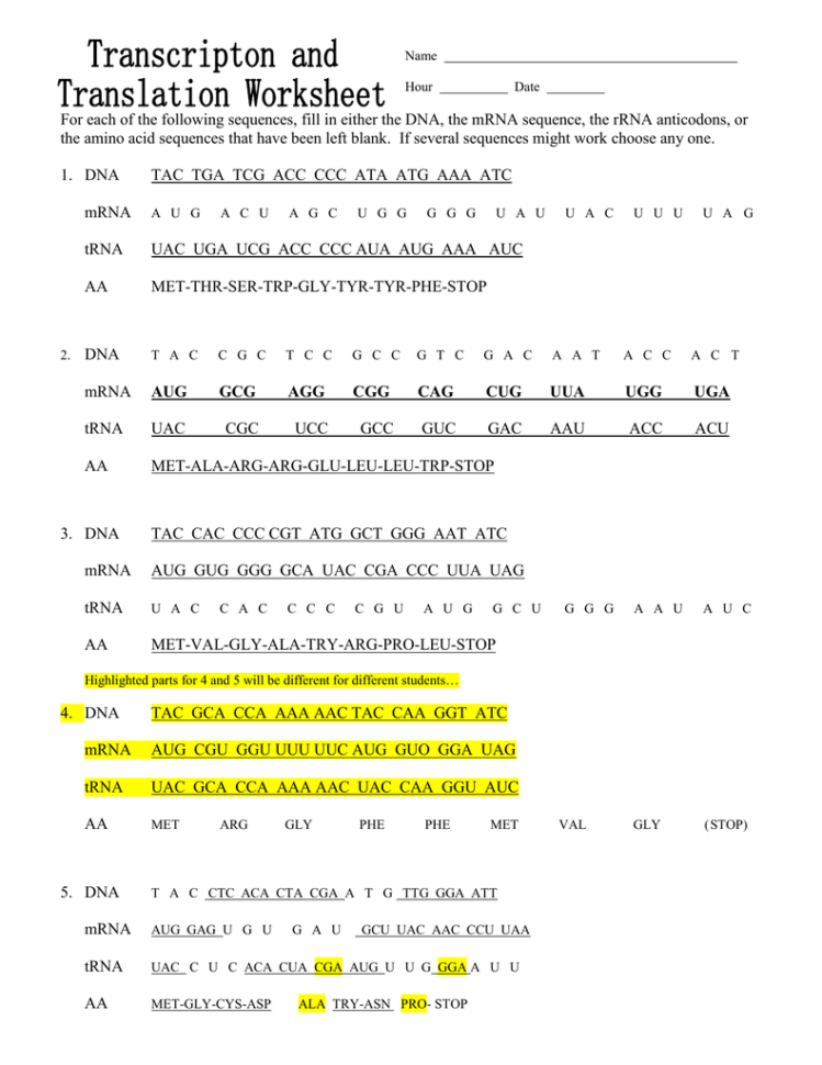 Transcriptontranslation Worksheet