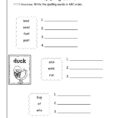 Transform Word Worksheets For Ft Grade About Wonders