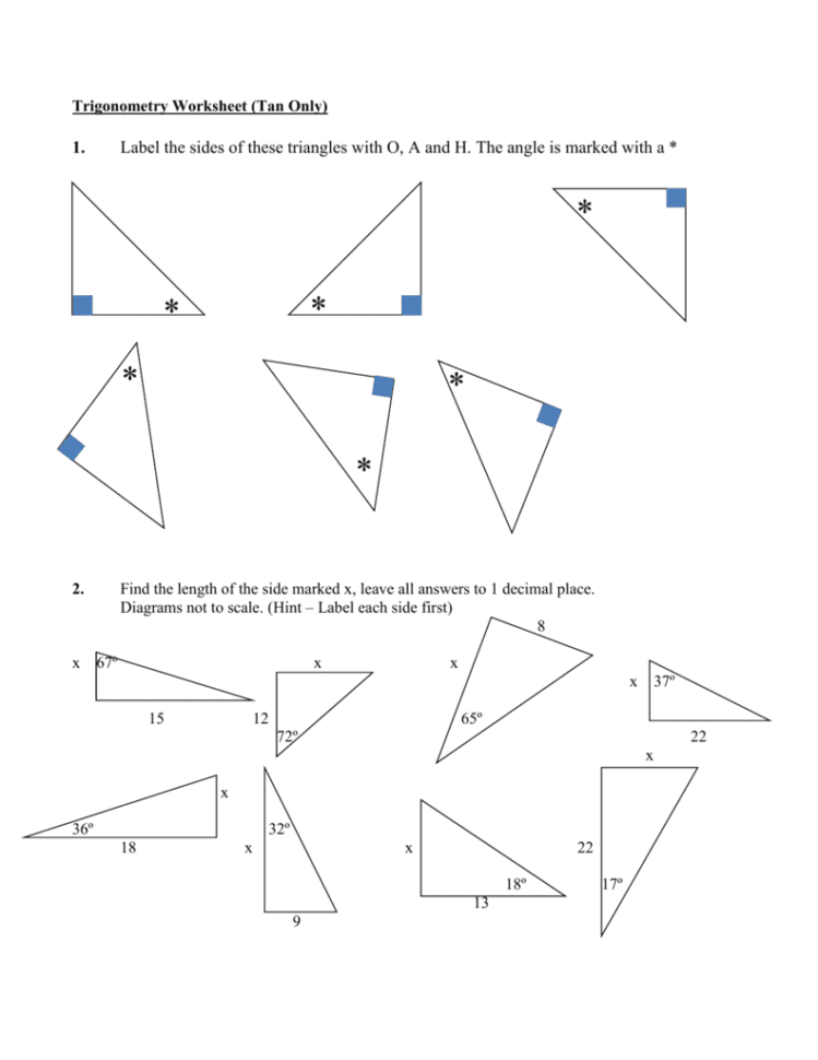 Trigonometry Worksheet Tan Ratio