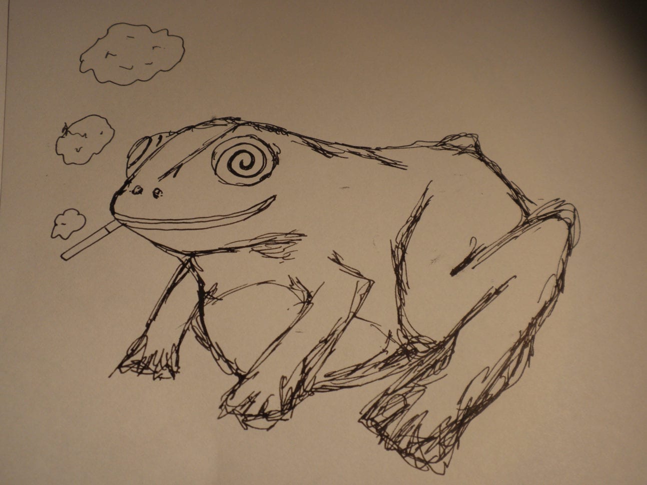 Tripping Over Psychoactive Toads  Science Features  Naked