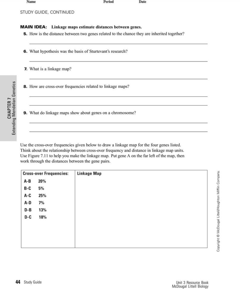 Two Copies Of Each Autosomal Gene Affect Phenotype  Pdf