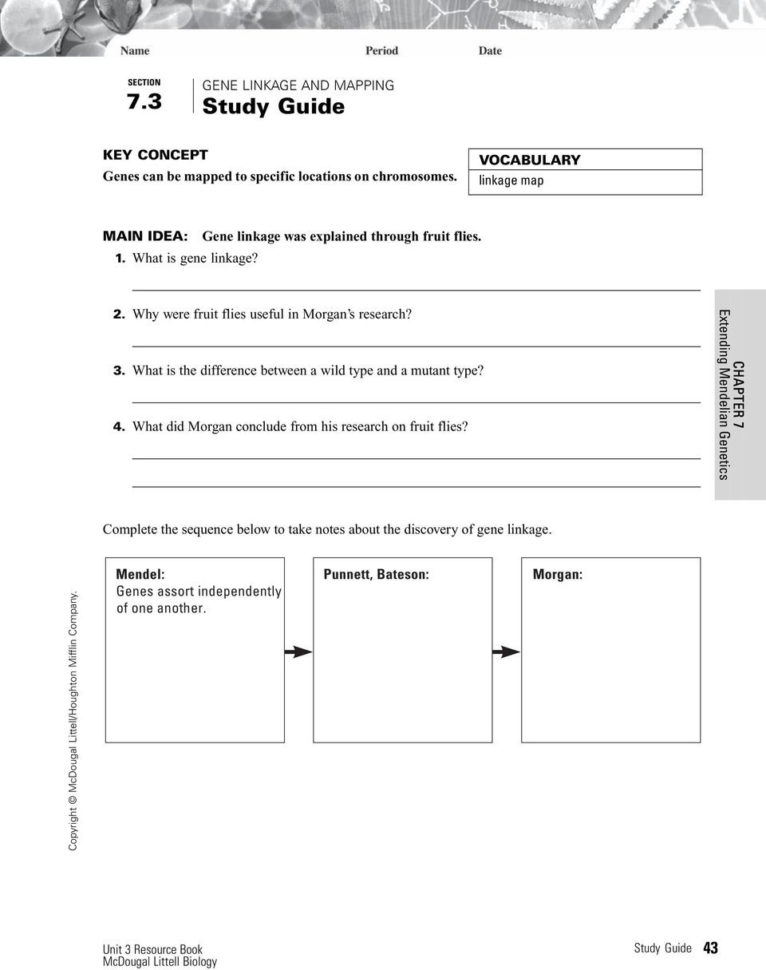 Two Copies Of Each Autosomal Gene Affect Phenotype  Pdf
