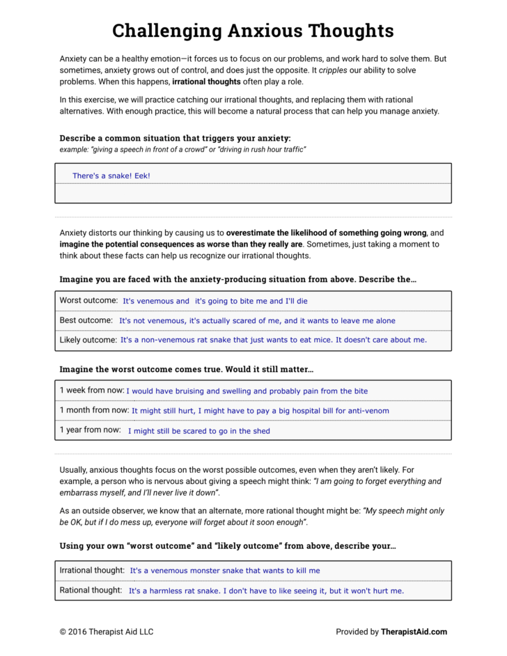 Anxiety Management Worksheets