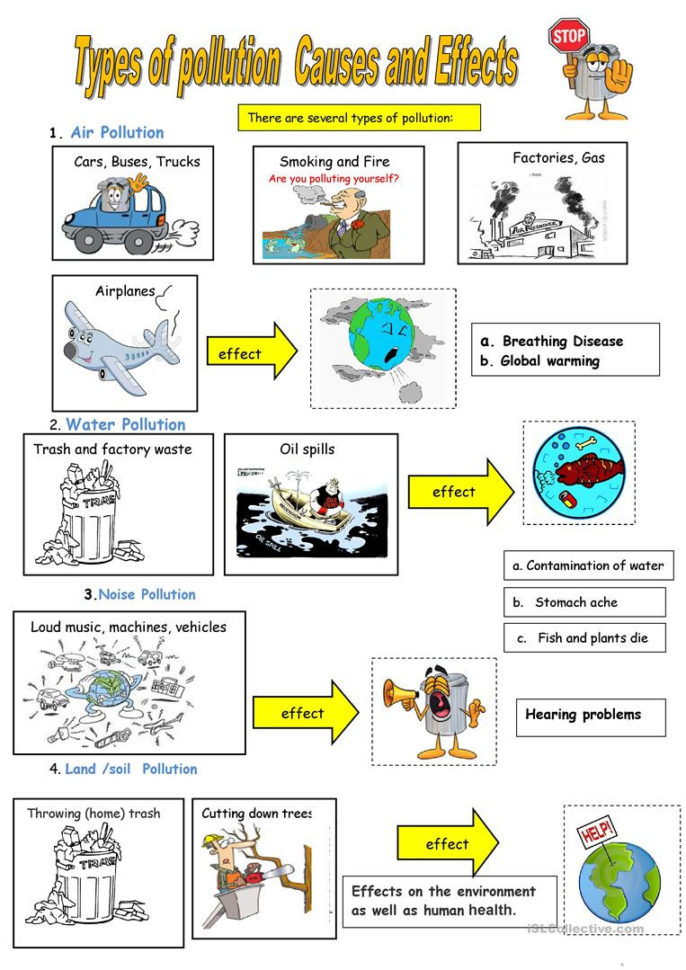 Types Of Pollution  English Esl Worksheets