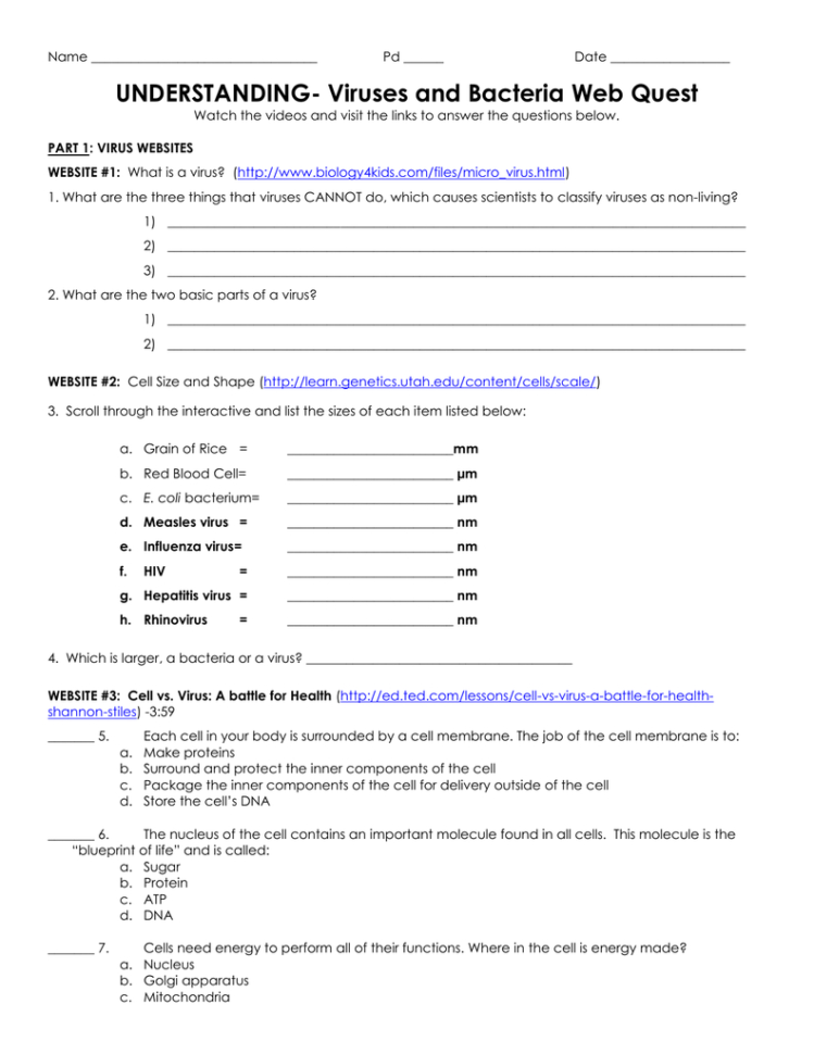 Understanding Virus And Bacteria Webquest