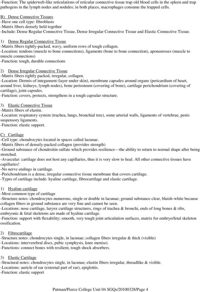 Unit 04 Notes Tissues Histology  Pdf