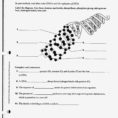 Unit 14 Dna Worksheet Structure Of Dna And Replication