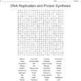 Unit 5 Dna And Rna Word Search  Word