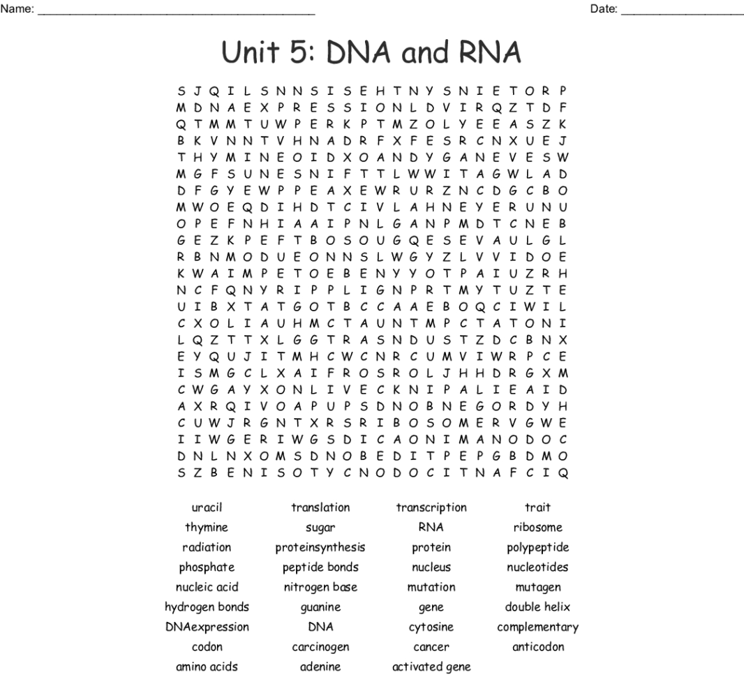 Unit 5 Dna And Rna Word Search  Word