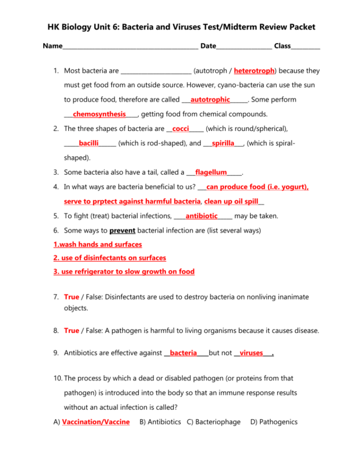 Unit 6 Bacteria Nd Viruses Review Sheethonors Answer Key
