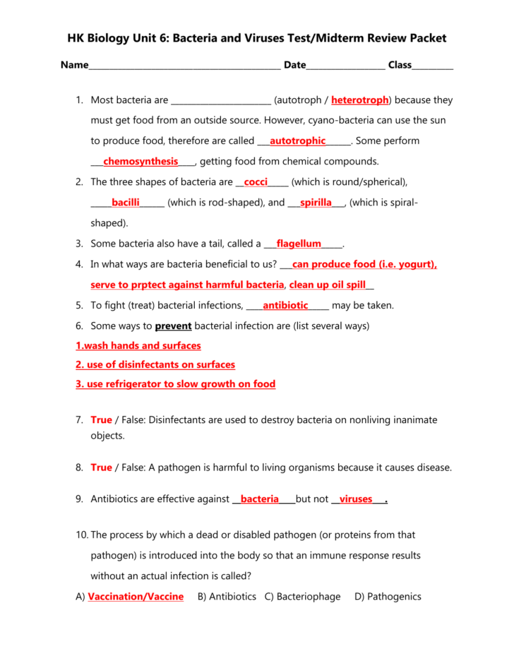 Characteristics Of Bacteria Worksheet Answers — db-excel.com