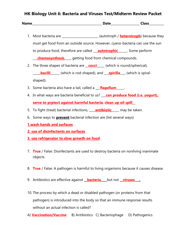 characteristics-of-bacteria-worksheet-answer-key-db-excel
