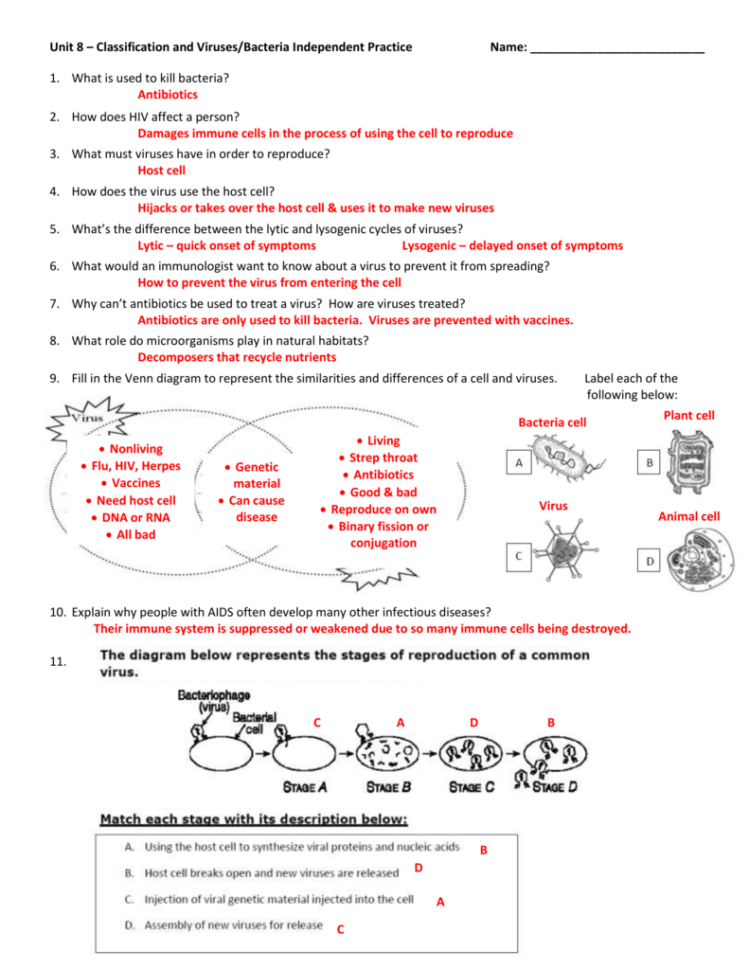 Unit 8 – Classification And Virusecteria Independent Practice