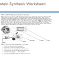 Unit 8 Protein Synthesis  Ppt Download